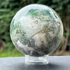 Achatový mach (moss), achátový strom 